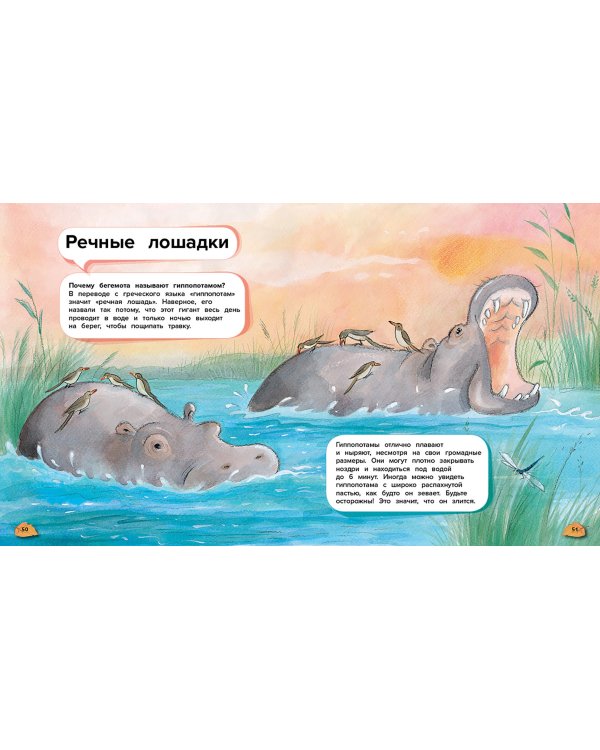 Чудеса животного мира. 44 удивительных факта о жизни животных