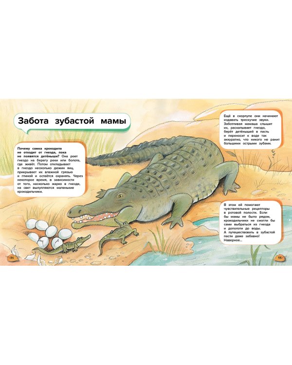 Чудеса животного мира. 44 удивительных факта о жизни животных