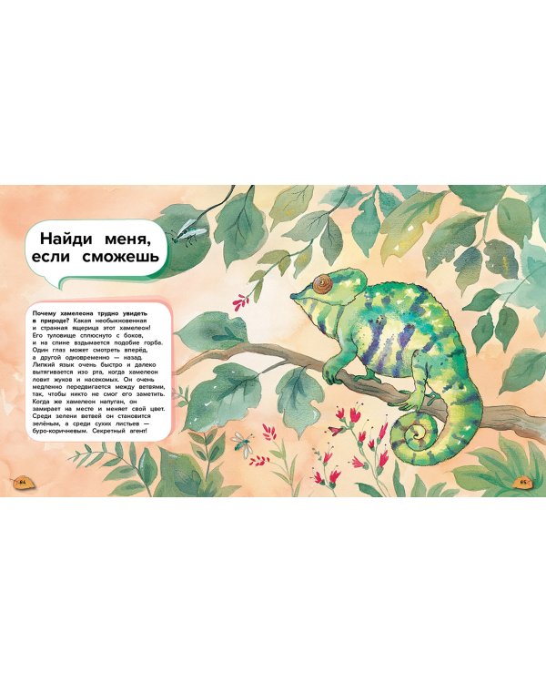 Чудеса животного мира. 44 удивительных факта о жизни животных