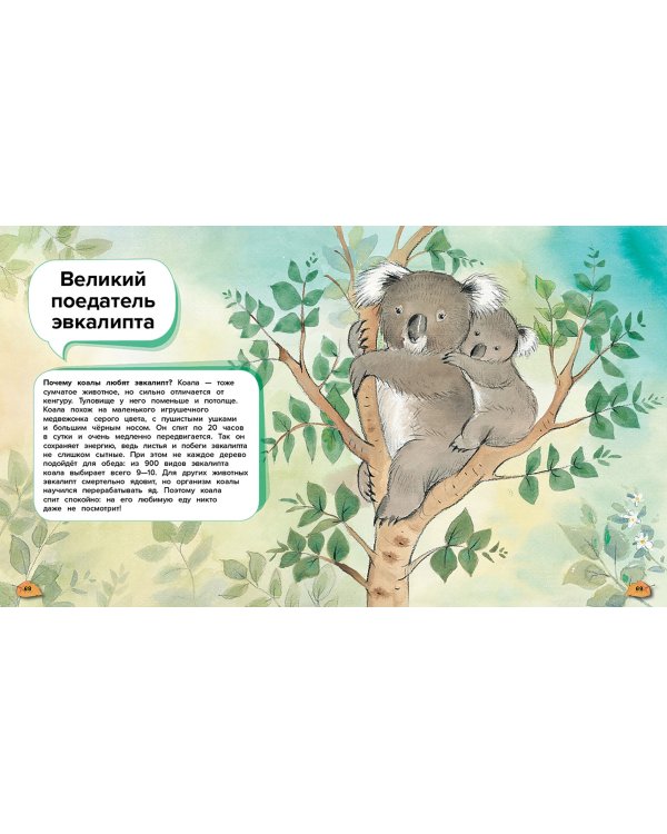 Чудеса животного мира. 44 удивительных факта о жизни животных