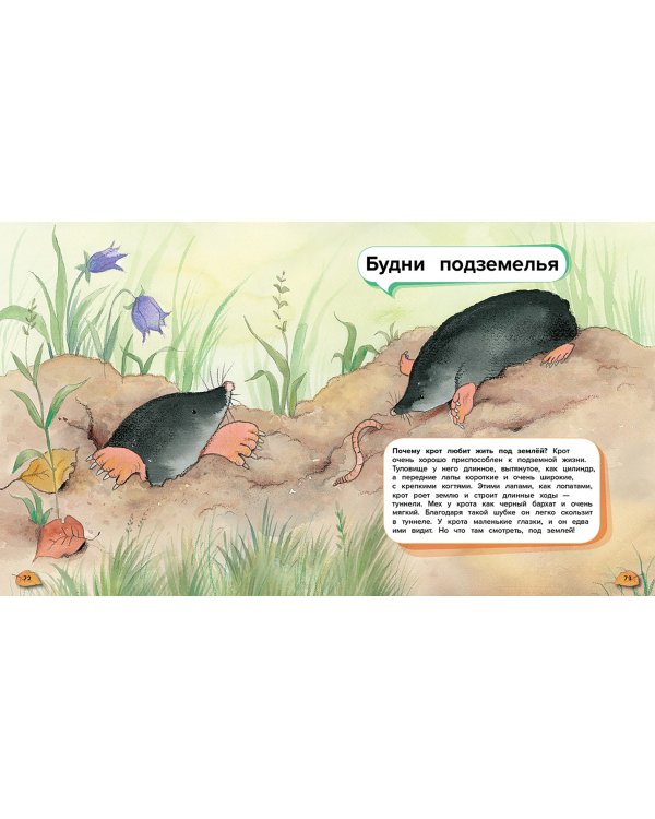 Чудеса животного мира. 44 удивительных факта о жизни животных