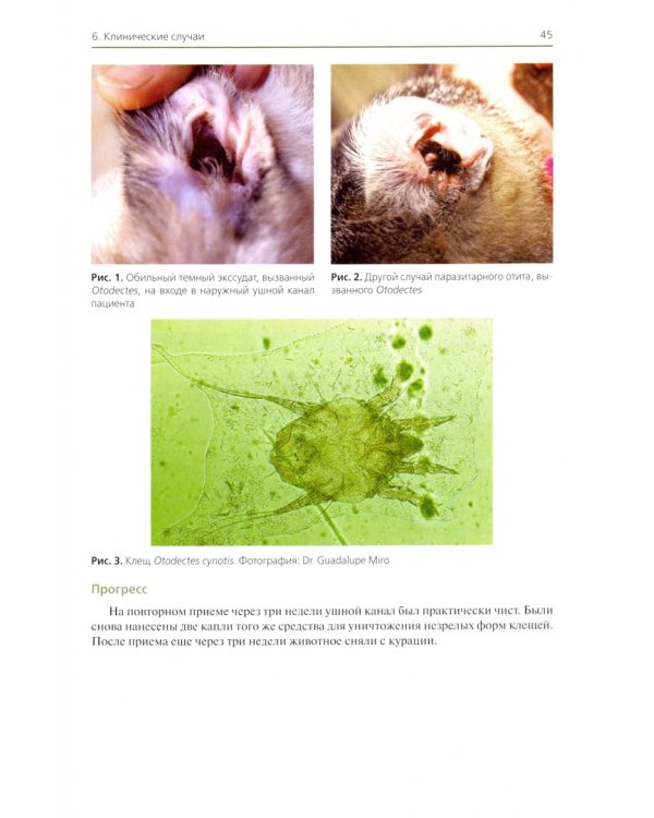 Болезни ушей собак и кошек. Клинические случаи. Цветной атлас