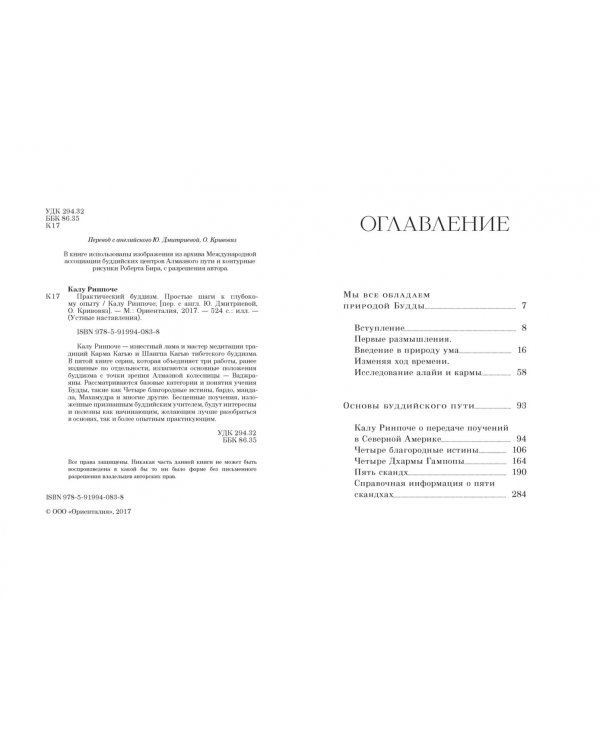 Практический буддизм. Простые шаги к глубокому опыту