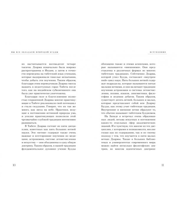 Практический буддизм. Простые шаги к глубокому опыту