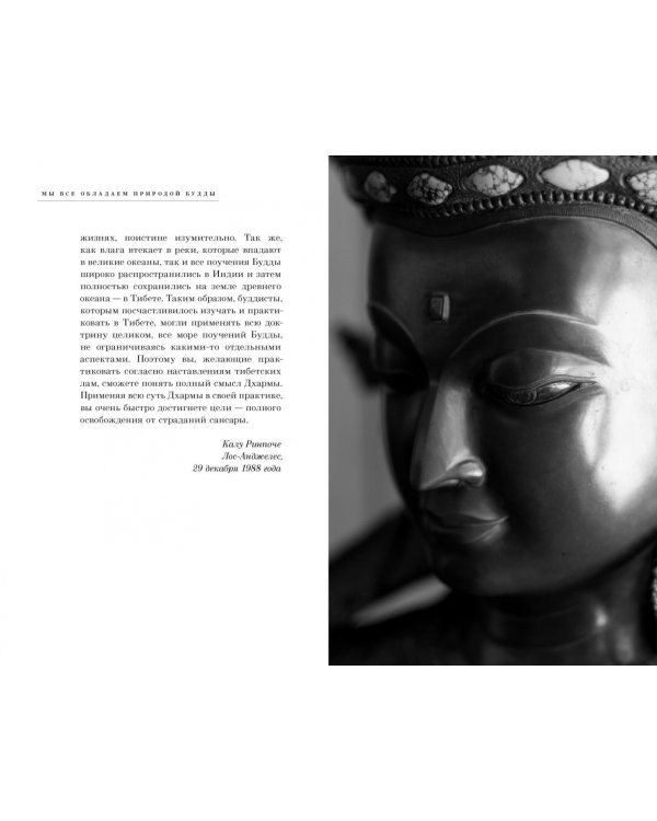 Практический буддизм. Простые шаги к глубокому опыту