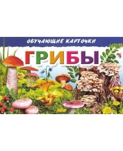 Обучающие карточки.