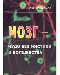 Мозг - чудо без мистики и волшебства