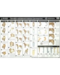 Плакат &quot;Техника наложения повязок&quot; (в тубусе)