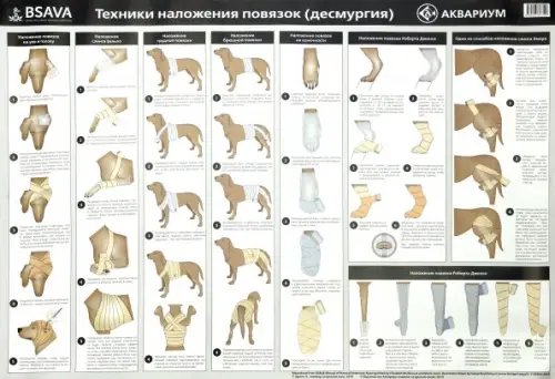 Плакат &quot;Техника наложения повязок&quot; (в тубусе)