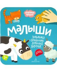 Малыши. Домашние животные