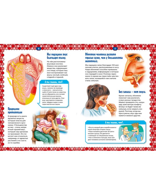 Тело человека