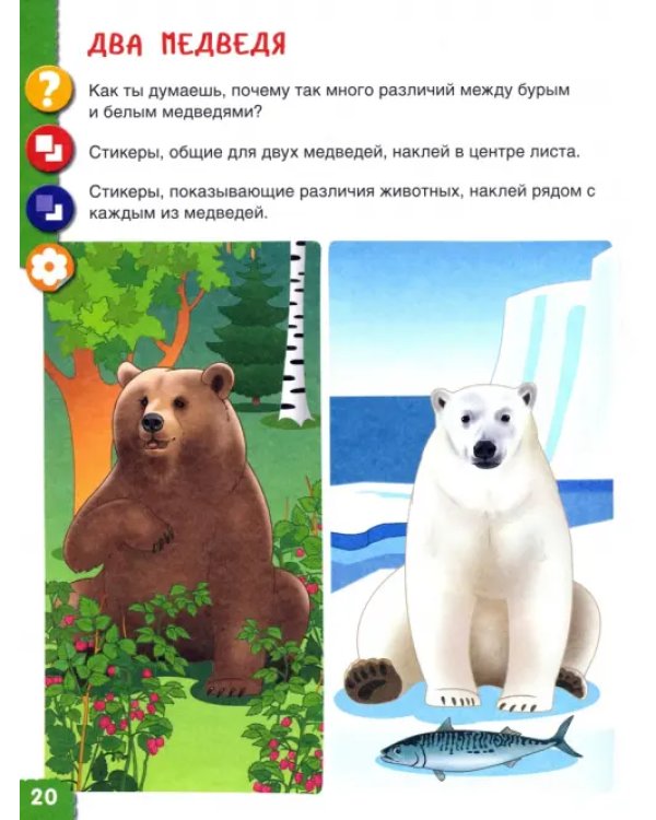 Ребёнок и окружающий мир. Альбом наблюдений. 5 - 6 лет