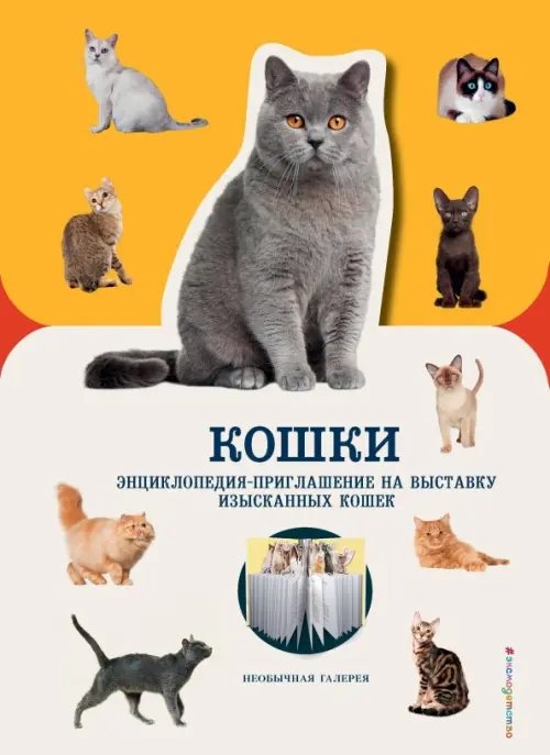 Необычная галерея Кошки