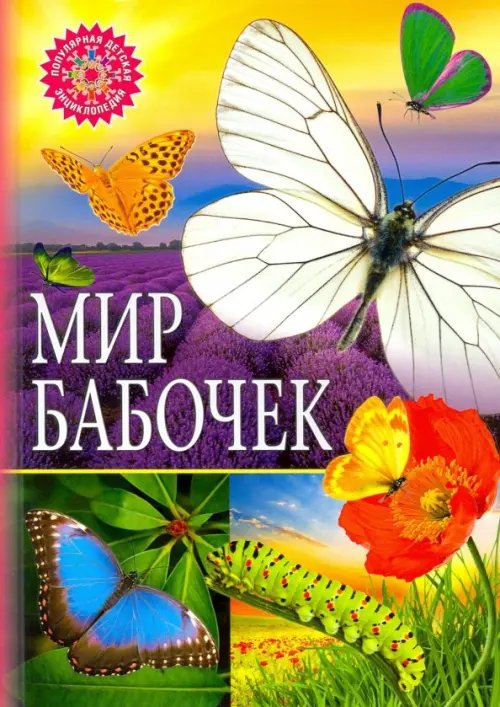 Мир бабочек