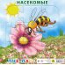 Пазл на подложке. Насекомые. Пчела, 9 элементов