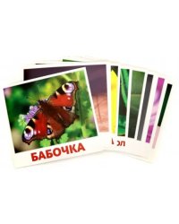 Набор карточек &quot;Насекомые&quot;