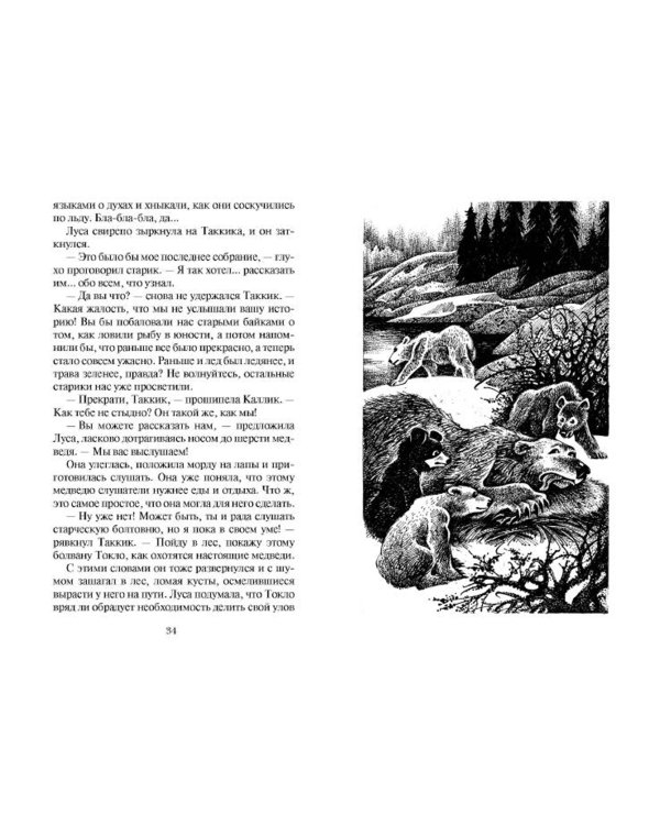 Дополнительное изображение книги «Дымная гора»