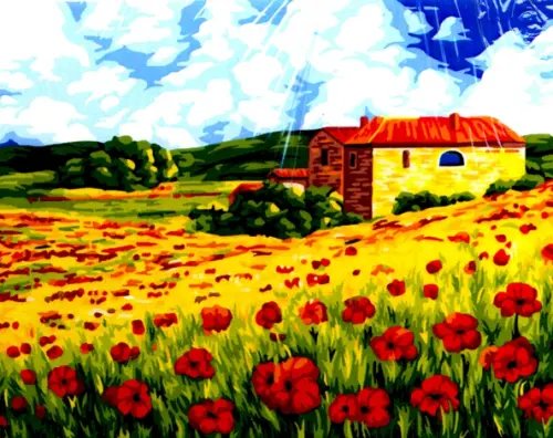 Набор для рисования по номерам на холсте "Поляна маков", 50х40 см Набор для рисования по номерам на холсте "Поляна маков", 50х40 см