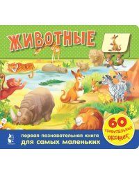 Животные. 60 удивительных окошек