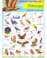 Птицы. Наклейки тематические