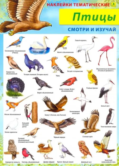 Птицы. Наклейки тематические