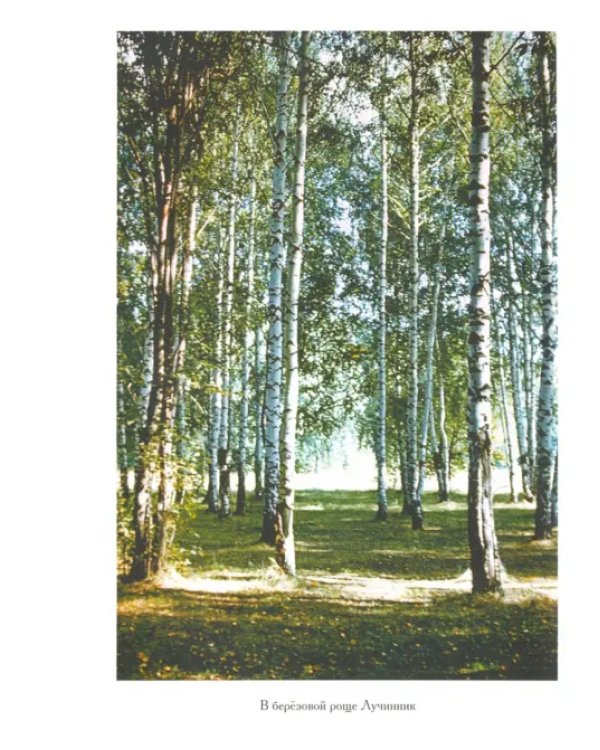 Три осени Пушкина. 1830, 1833, 1834 гг.