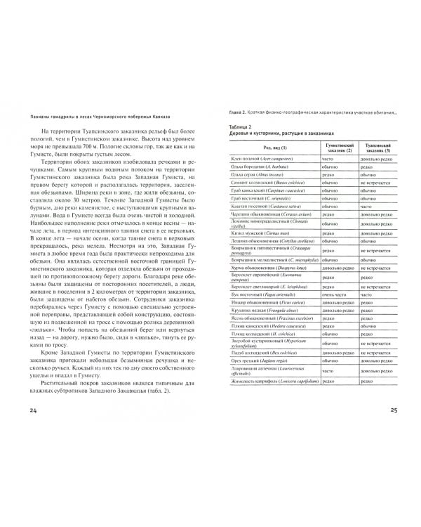 Павианы гамадрилы в лесах Черноморского побережья Кавказа