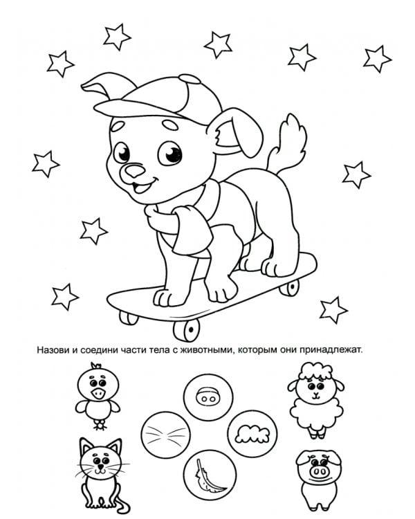 IQ раскраска. Щенок