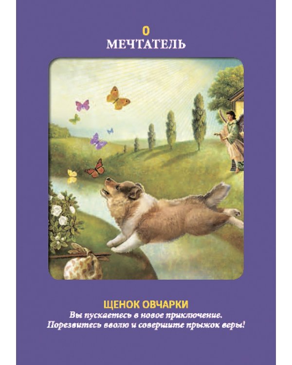 Таро животных (78 карт с инструкцией)