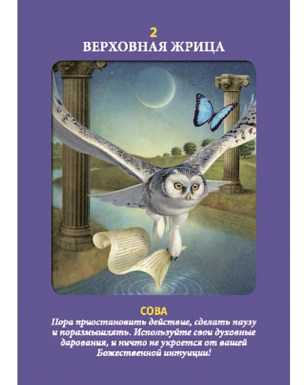 Таро животных (78 карт с инструкцией)