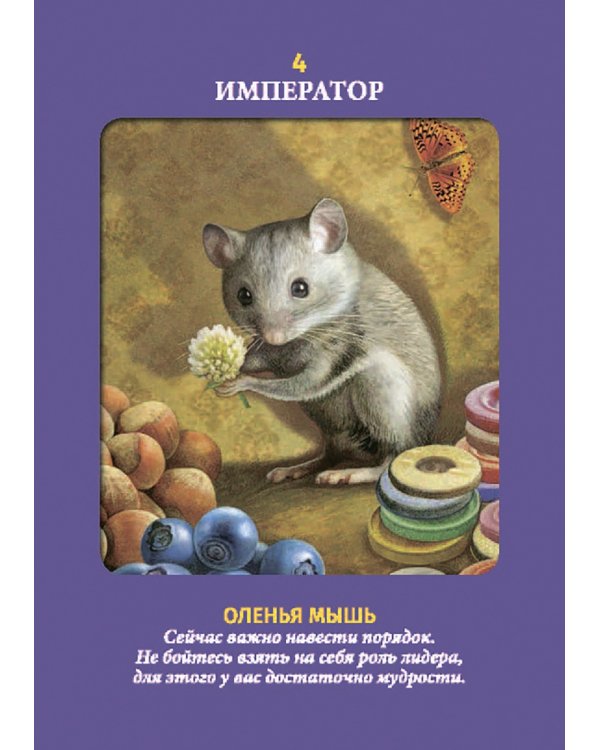 Таро животных (78 карт с инструкцией)