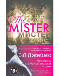 Мистер