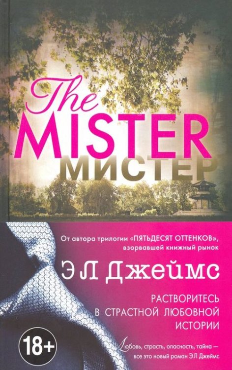 Эрика Джеймс. Мировое признание Мистер