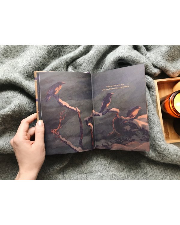 Кошачий чердак