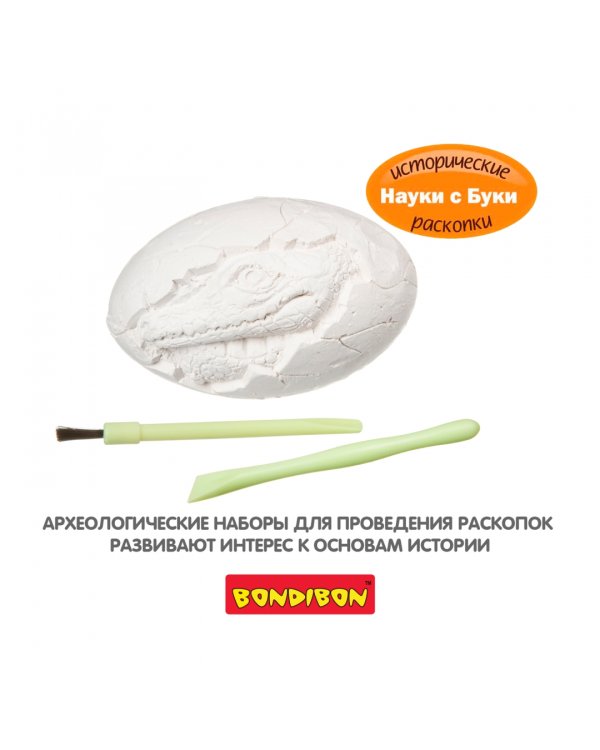 Науки с Буки. Проводим раскопки. Яйцо крокодила