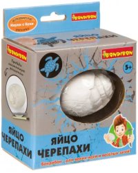 Науки с Буки. Проводим раскопки. Яйцо черепахи