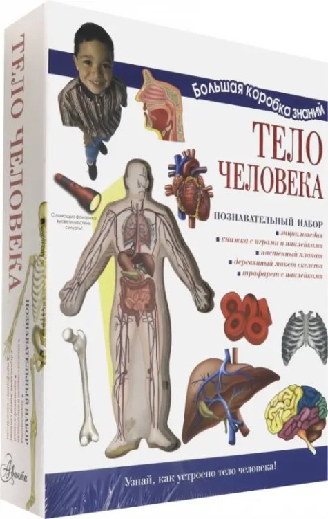 Обложка книги «Познавательный набор. Тело человека»