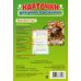 Времена года. 34 карточки