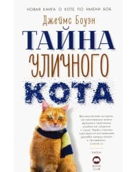 Тайна уличного кота