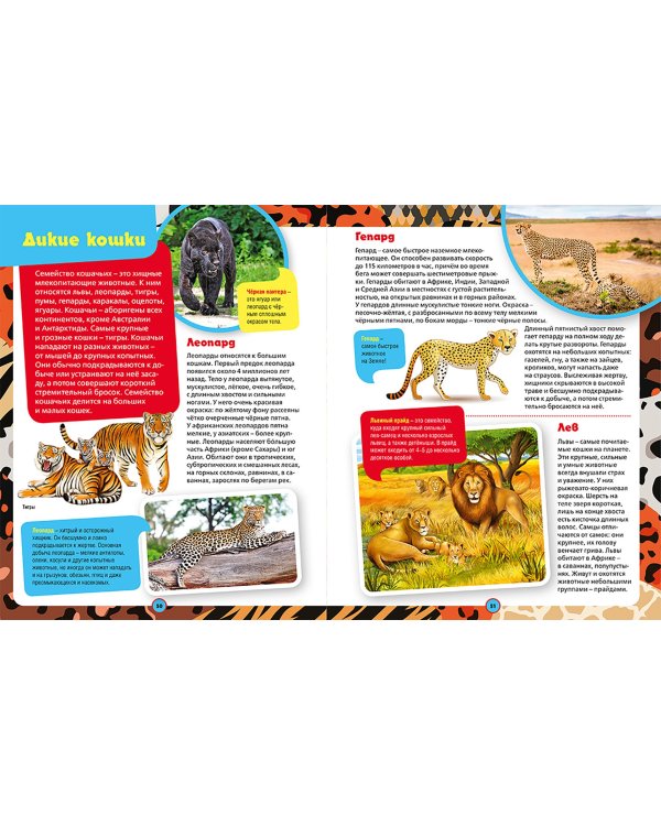 Обо всем на свете. Детская энциклопедия в картинках