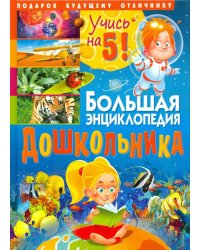 Большая энциклопедия дошкольника. Подарок будущему отличнику