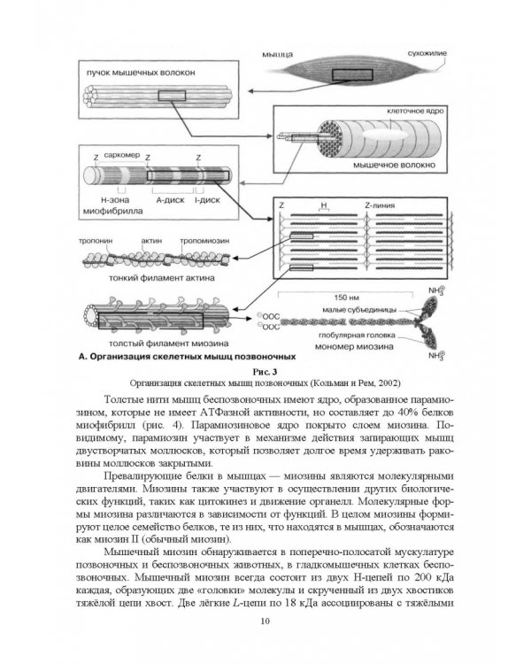Ферментные системы водно-биологических ресурсов и их роль в формировании качества продукции