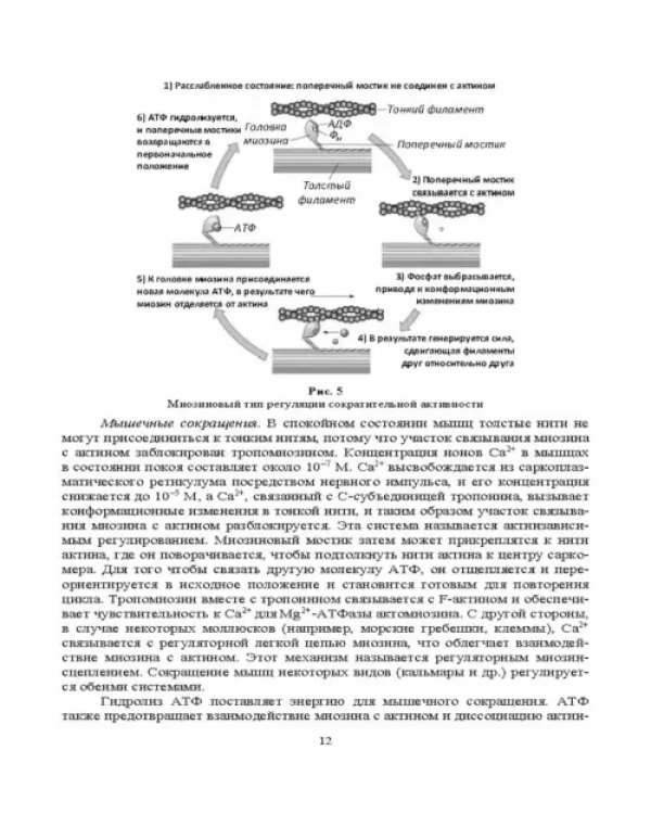Ферментные системы водно-биологических ресурсов и их роль в формировании качества продукции