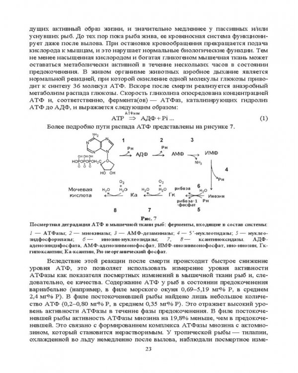 Ферментные системы водно-биологических ресурсов и их роль в формировании качества продукции