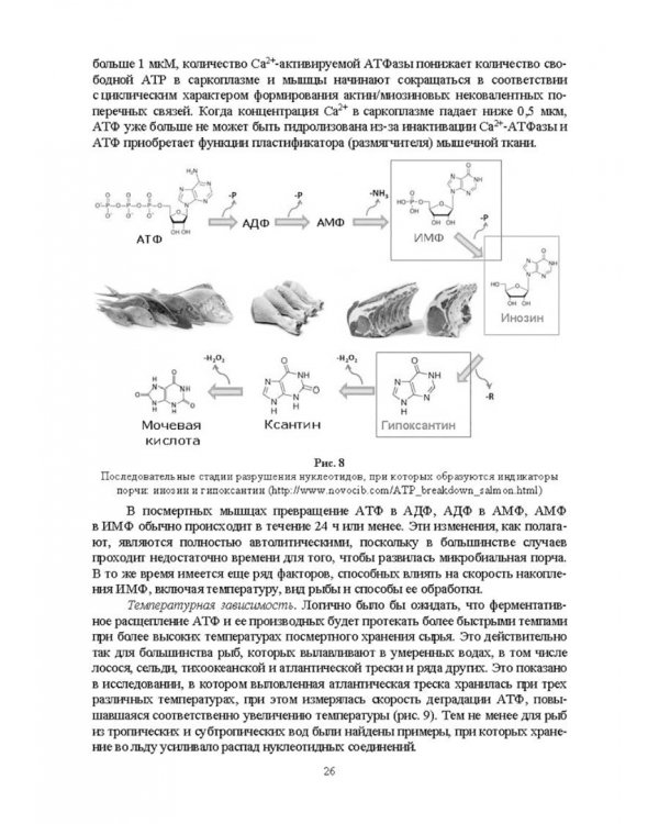 Ферментные системы водно-биологических ресурсов и их роль в формировании качества продукции