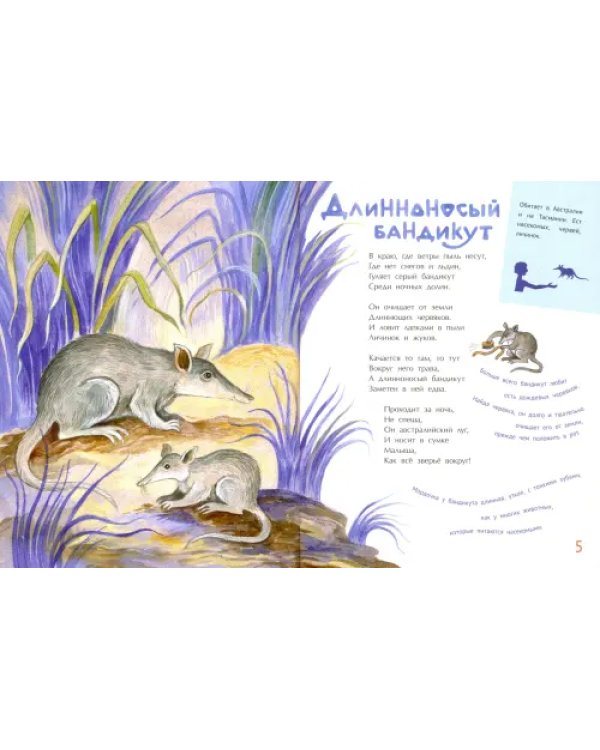 Необыкновенные звери