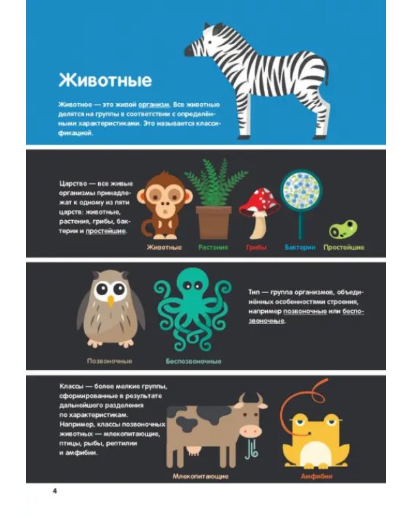 В мире животных. Инфографика