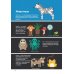 В мире животных. Инфографика