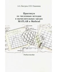 Практикум по численным методам в вычислительных средах matlab и mathcad. Учебное пособие