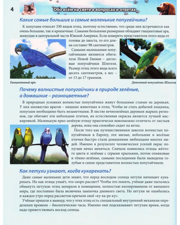 Обо всем на свете в вопросах и ответах